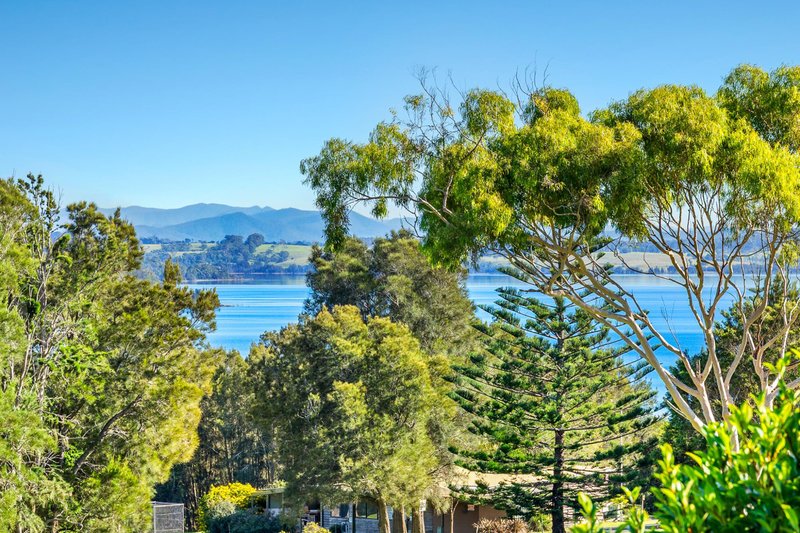 Photo - 25 Allenby Road, Tuross Head NSW 2537 - Image 19