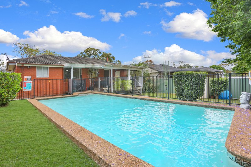 Photo - 25 Andrews Avenue, Toongabbie NSW 2146 - Image 7