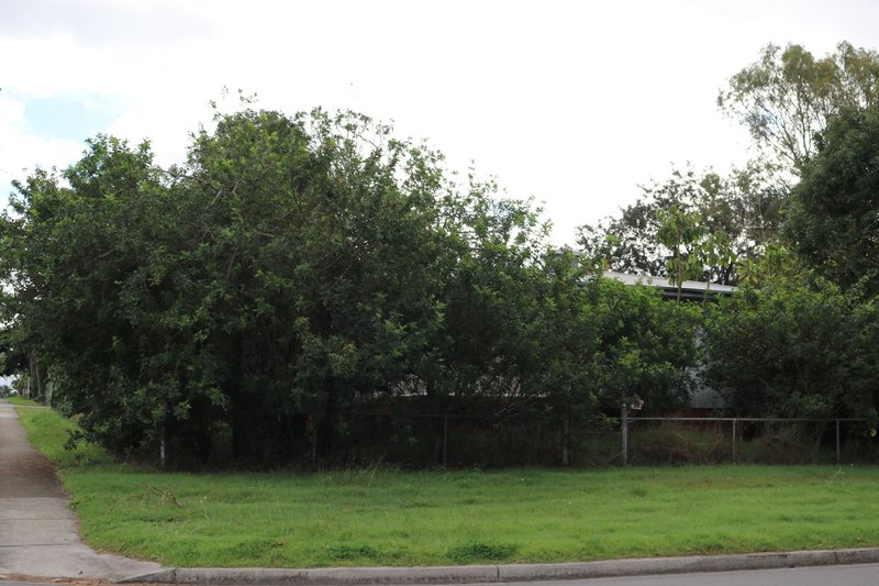 Photo - 25 Aplin Street, Acacia Ridge QLD 4110 - Image 2