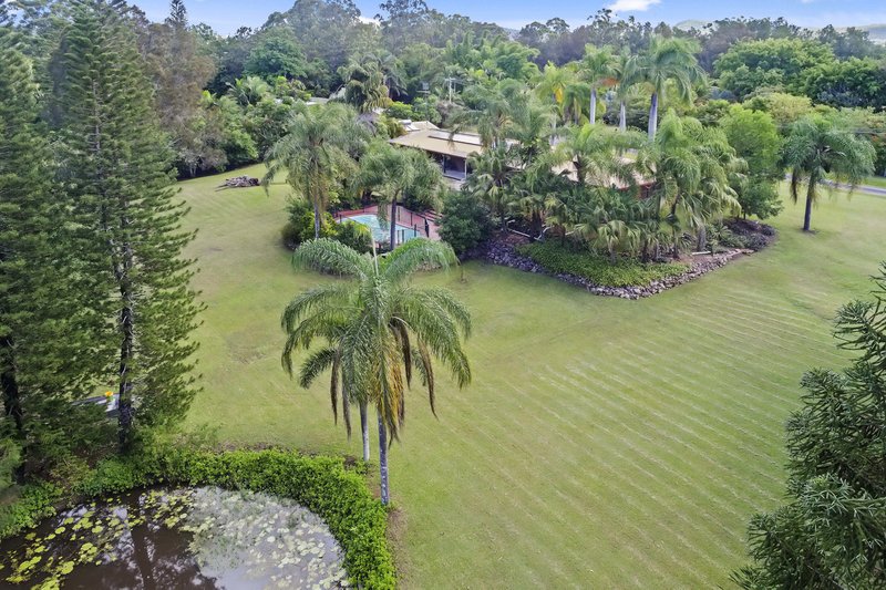 25 Banyandah Street, Yandina QLD 4561