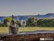Photo - 25 Barlee Drive, Fernvale NSW 2484 - Image 13