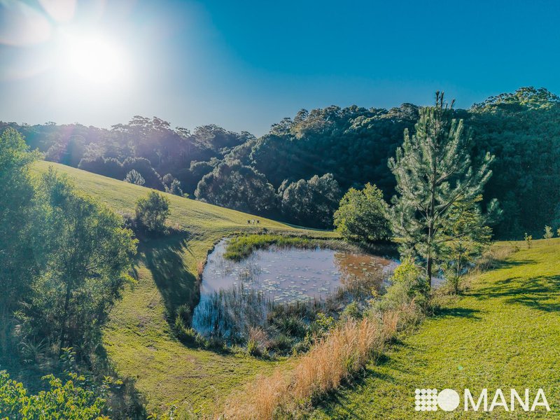 Photo - 25 Barlee Drive, Fernvale NSW 2484 - Image 27