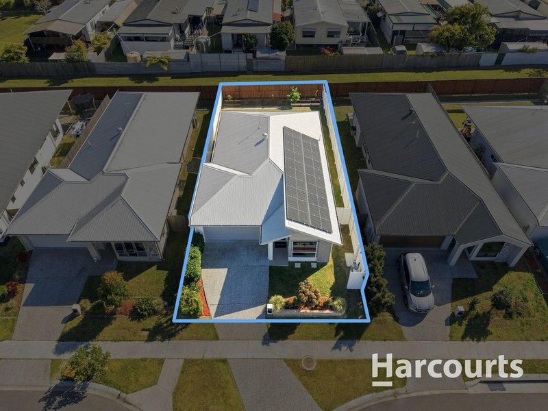 Photo - 25 Basswood Circuit, Park Ridge QLD 4125 - Image 16