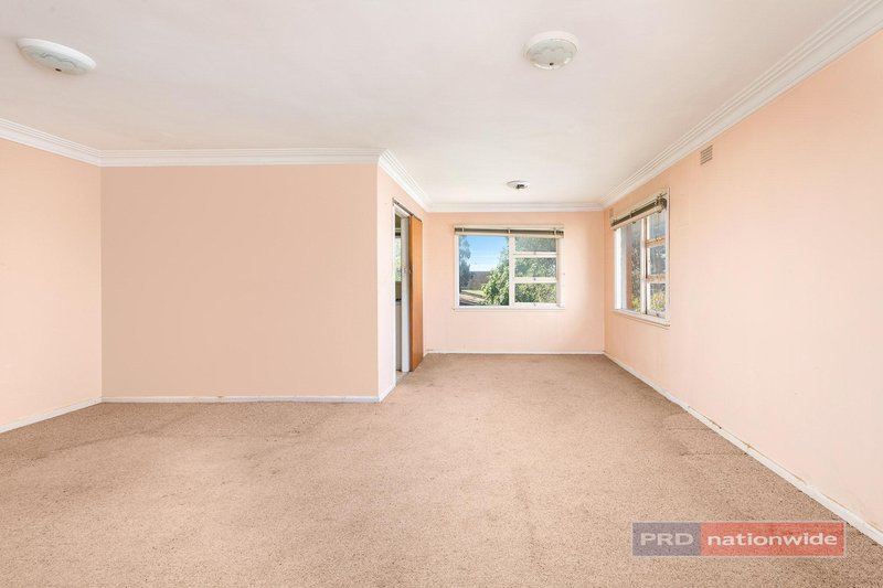 Photo - 25 Beamish Street, Padstow NSW 2211 - Image 3