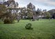 Photo - 25 Bell Court, Strathalbyn SA 5255 - Image 21