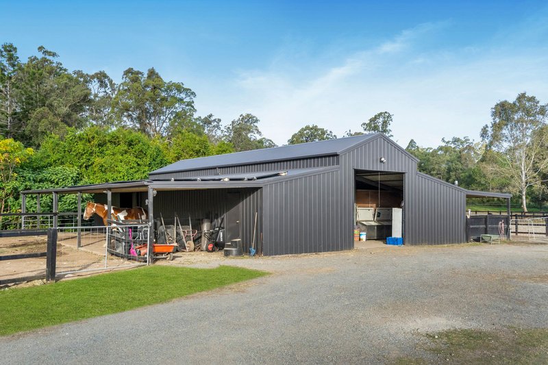Photo - 25 Bignells Road, Maudsland QLD 4210 - Image 3