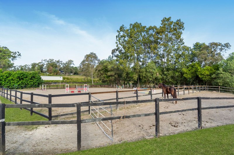 Photo - 25 Bignells Road, Maudsland QLD 4210 - Image 5