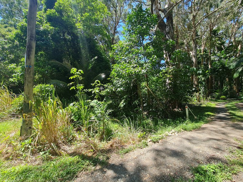 Photo - 25 Broadway Street, Bloomfield QLD 4895 - Image 6