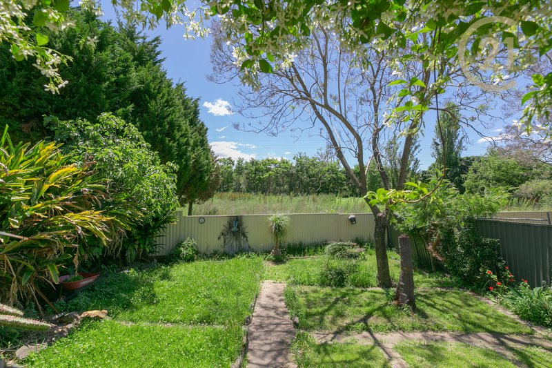 Photo - 25 Byron Street, Campsie NSW 2194 - Image 5