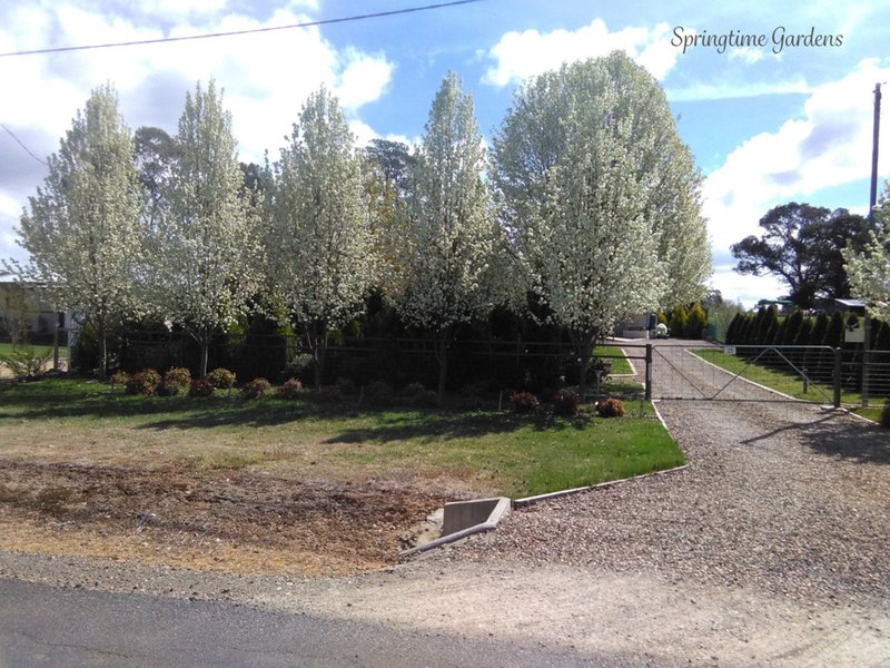 Photo - 25 Carabost Street, Tumbarumba NSW 2653 - Image 17