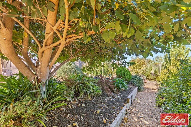 Photo - 25 Carlisle Street, Williamstown SA 5351 - Image 28