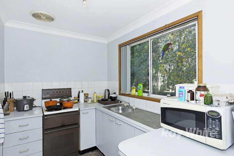 Photo - 25 Cary Street, Toronto NSW 2283 - Image 2