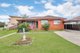 Photo - 25 Chelsea Drive, Canley Heights NSW 2166 - Image 1