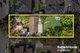 Photo - 25 Chester Road, Ingleburn NSW 2565 - Image 12