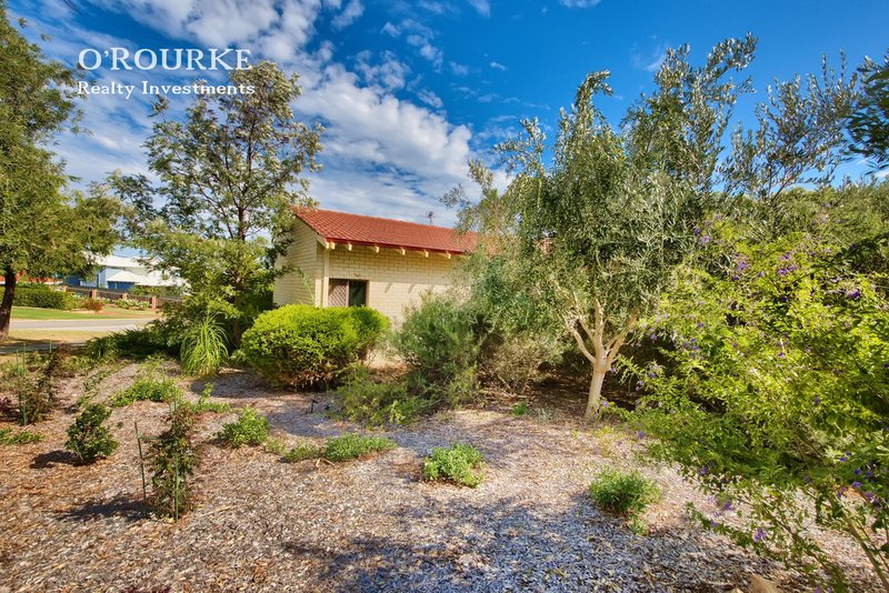 Photo - 25 Cousins Street, Karrinyup WA 6018 - Image 4