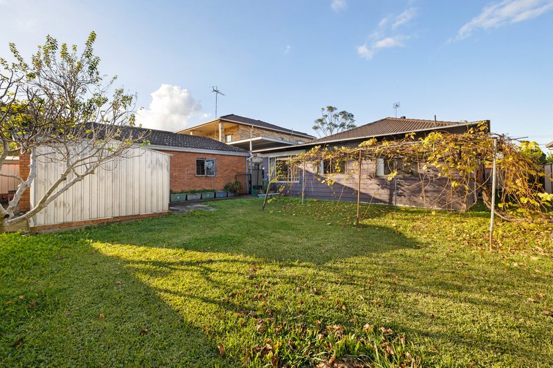 Photo - 25 Cowper Street, Campsie NSW 2194 - Image 11