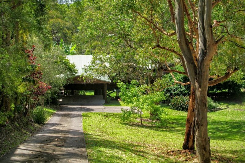 Photo - 25 Crescent Road, Wangi Wangi NSW 2267 - Image 16