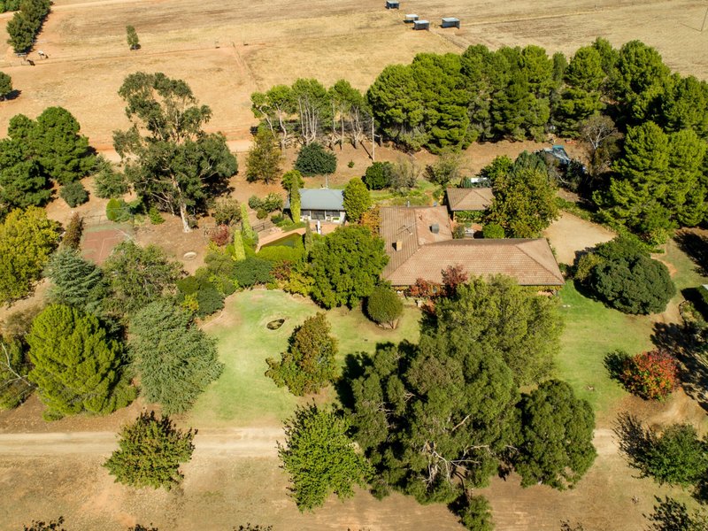 Photo - 25 Cummins Drive, San Isidore NSW 2650 - Image 3