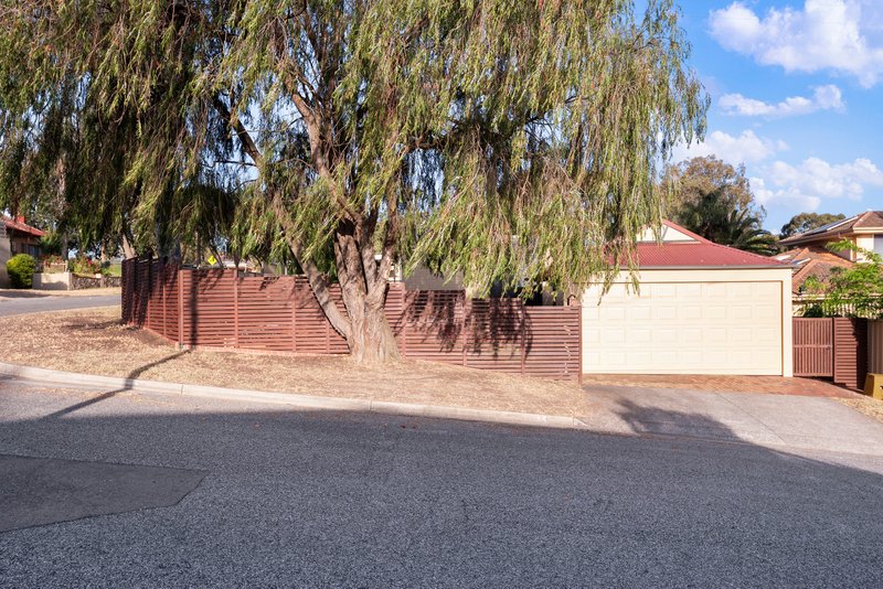 Photo - 25 Davenport Street, Banksia Park SA 5091 - Image 3