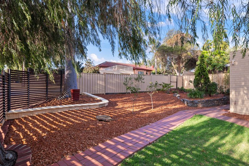 Photo - 25 Davenport Street, Banksia Park SA 5091 - Image 4