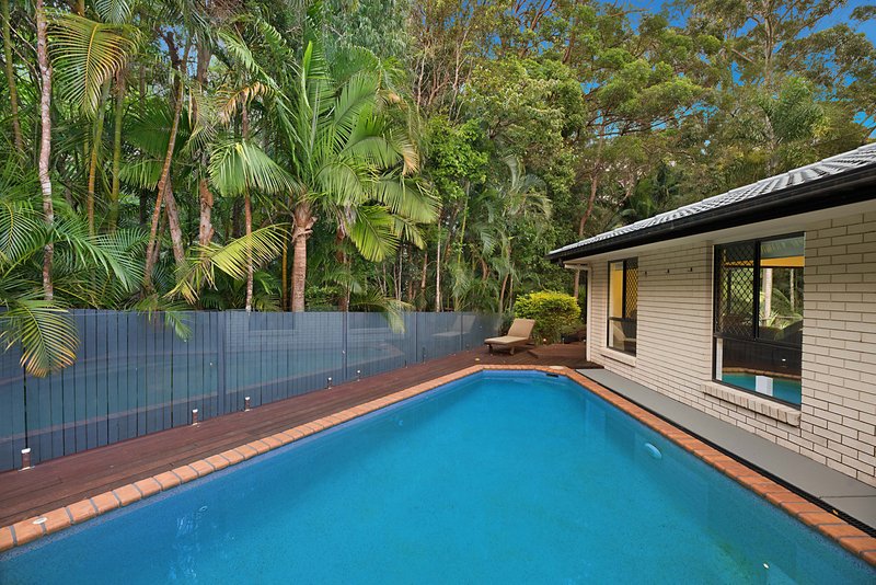 Photo - 25 Earlybird Drive, Buderim QLD 4556 - Image 5