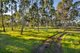 Photo - 25 Foulkes Crescent, Clunes VIC 3370 - Image 17