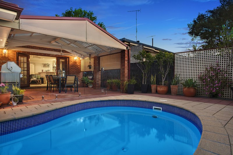 Photo - 25 Freeman Avenue, Castle Hill NSW 2154 - Image 6