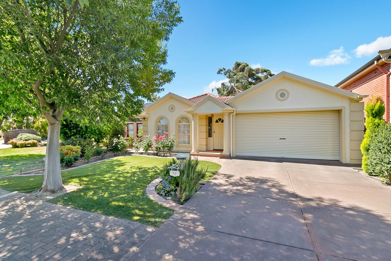 Photo - 25 Frost Street, Newton SA 5074 - Image 2