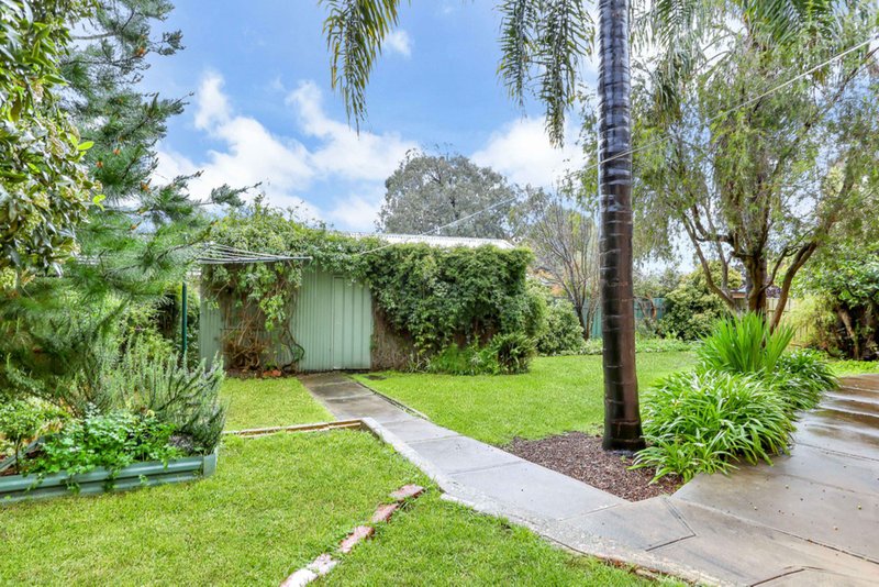 Photo - 25 Giles Street, Magill SA 5072 - Image 18