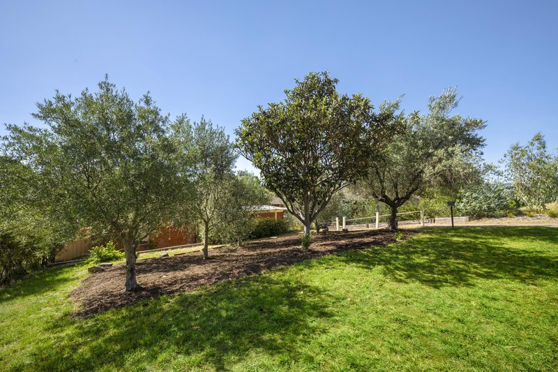 Photo - 25 Holyman Street, Scullin ACT 2614 - Image 17