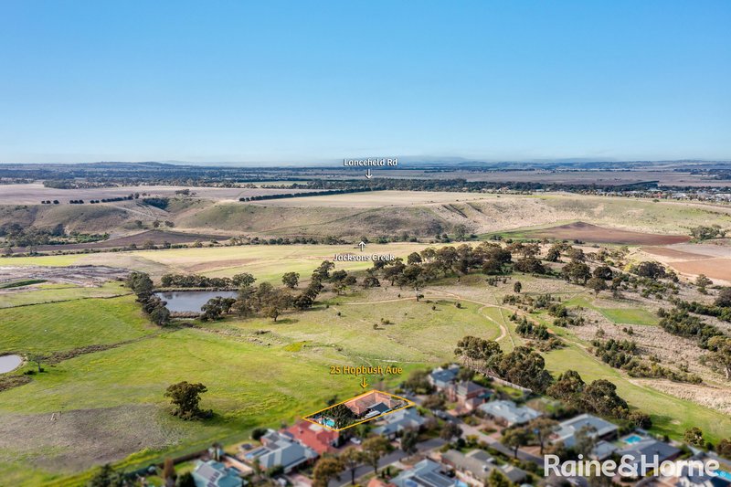 Photo - 25 Hopbush Avenue, Sunbury VIC 3429 - Image 34