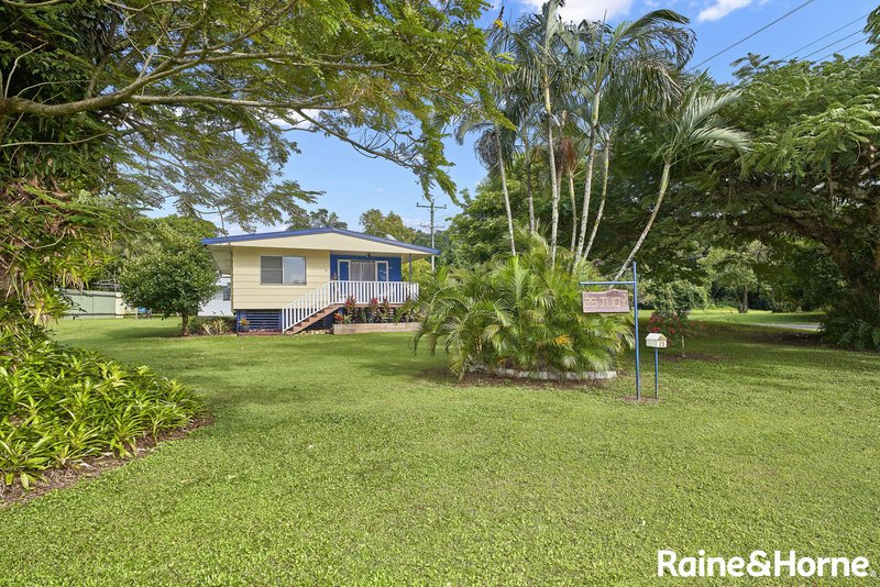 Photo - 25 Judy Street, Flying Fish Point QLD 4860 - Image 2