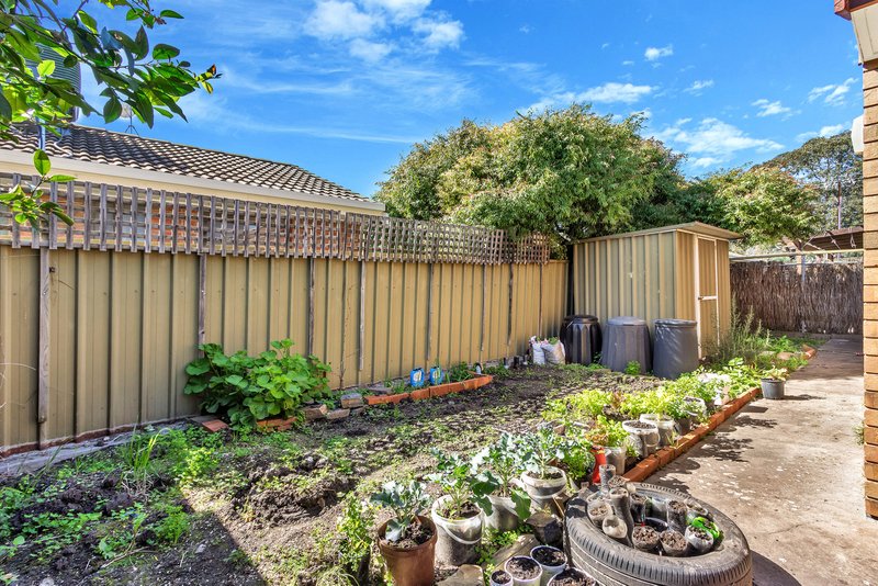 Photo - 2/5 Kimber Place, Athelstone SA 5076 - Image 7