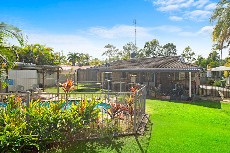 Photo - 25 Lady Musgrave Drive, Mountain Creek QLD 4557 - Image 4