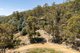 Photo - 25 Lanes Road, Glen Huon TAS 7109 - Image 11