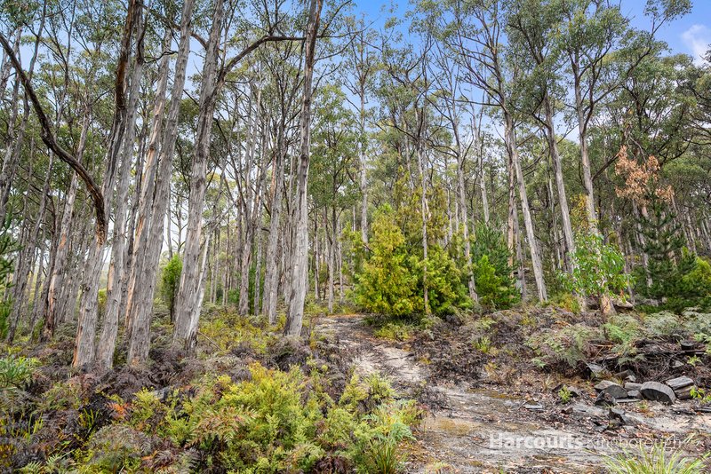 Photo - 25 Lanes Road, Glen Huon TAS 7109 - Image 22