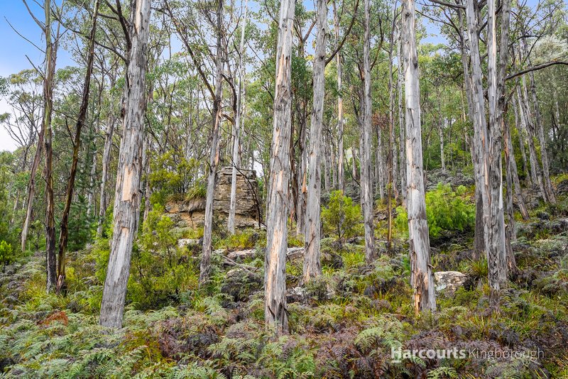 Photo - 25 Lanes Road, Glen Huon TAS 7109 - Image 23