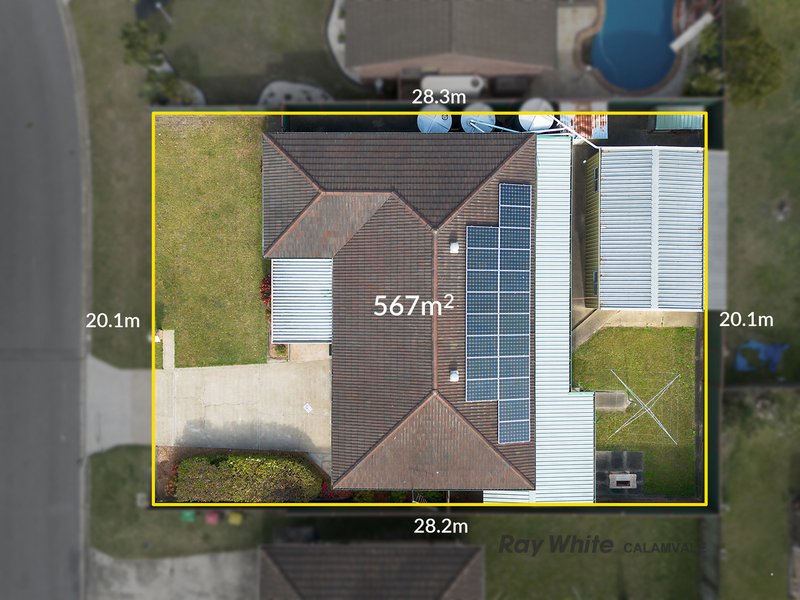 Photo - 25 Macaranga Street, Algester QLD 4115 - Image 16