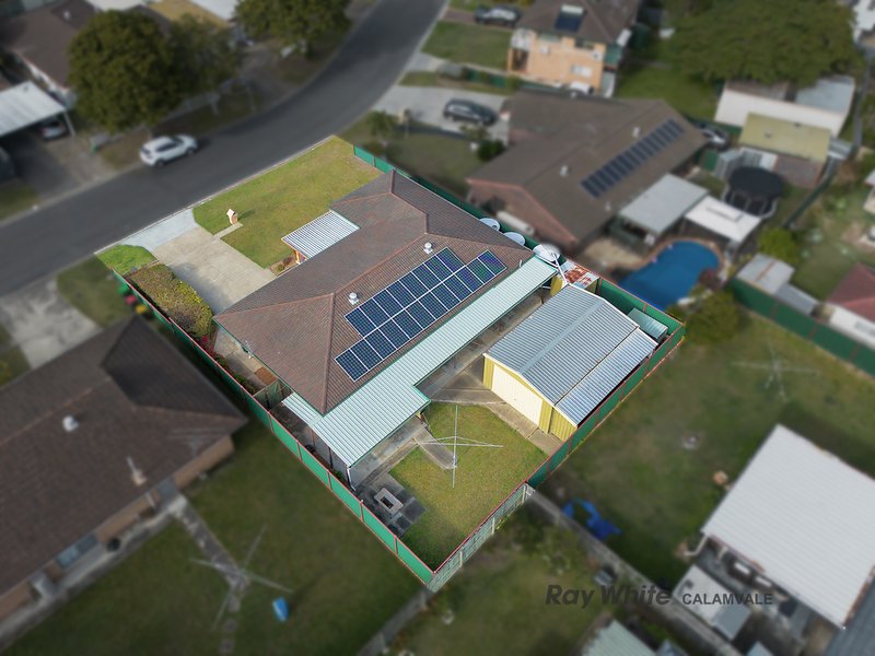 Photo - 25 Macaranga Street, Algester QLD 4115 - Image 17