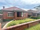 Photo - 25 Mcraes Ave , Penshurst NSW 2222 - Image 1