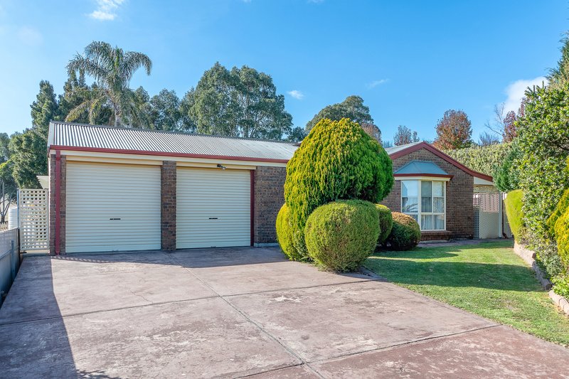 25 Michelmore Drive, Meadows SA 5201