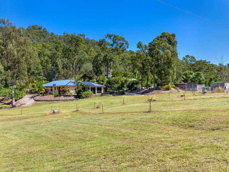 Photo - 25 Nature Valley Crt , Tallai QLD 4213 - Image 3