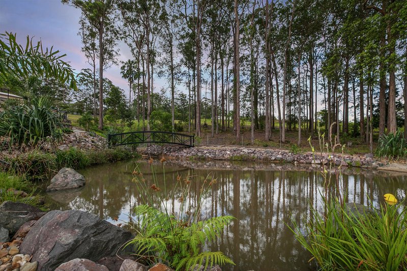 Photo - 25 Palm Creek Road, Tanawha QLD 4556 - Image 26