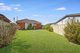 Photo - 25 Peter Crescent, Greenacre NSW 2190 - Image 7