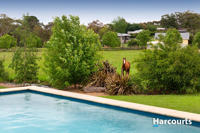 Photo - 25 Quamby Road, Guys Hill VIC 3807 - Image 16