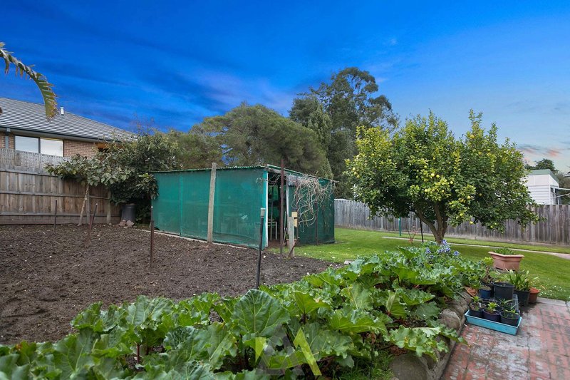 Photo - 25 Quarry Road, Langwarrin VIC 3910 - Image 18