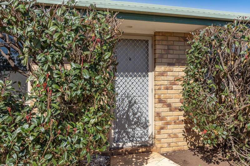 Photo - 2/5 Quinlan Court, Darling Heights QLD 4350 - Image 2