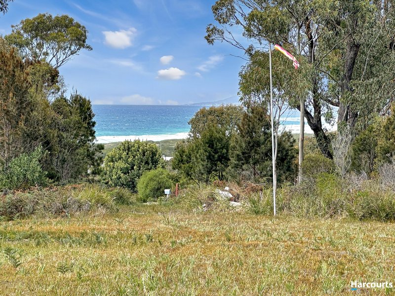 Photo - 25 Reedy Road, Beaumaris TAS 7215 - Image 8