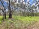 Photo - 25 Robs Drive, Horse Camp QLD 4671 - Image 9