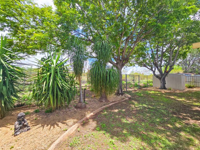 Photo - 25 Rosevear Road, Mount Isa QLD 4825 - Image 16